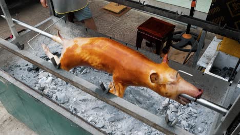 Whole-pig-being-turned-and-roasted-on-spit-by-hand