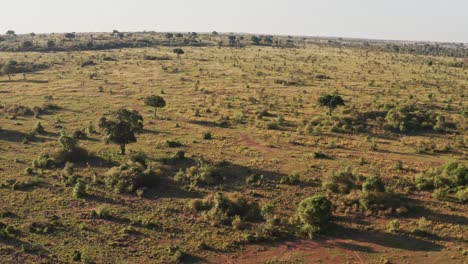 Africa-Aerial-drone-shot-of-Masai-Mara-Landscape-in-Kenya,-Beautiful-View-of-Vast-African-Scenery-from-High-Up-Above,-Wide-Angle-Establishing-Shot-Flying-Over-Trees,-Shrubland-and-Nature