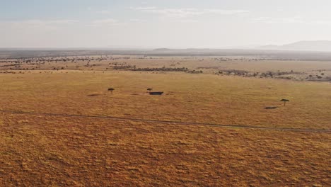 Toma-Aérea-De-Masai-Mara-Con-Drones-Del-Paisaje-Africano-De-Llanuras-Y-Pastizales-De-Sabana,-árboles-De-Acacia-En-Lo-Alto-De-La-Reserva-Nacional-De-Masai-Mara-En-Kenia,-Amplio-Establecimiento-Sobrevolando