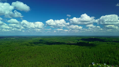 Waldlandschaft-Mit-Seen-Und-Klarem-Blauen-Himmel