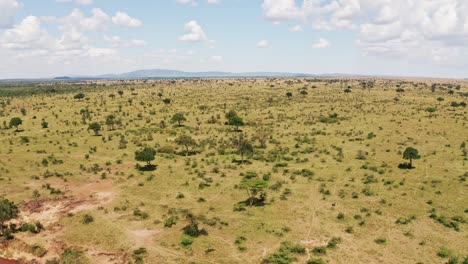 Afrika-Luftdrohnenaufnahme-Der-Masai-Mara-Landschaft-In-Kenia,-Wunderschöne-Aussicht-Auf-Die-Weite-Afrikanische-Landschaft-Von-Hoch-Oben,-Weitwinkelaufnahme-Beim-Flug-über-Bäume,-Buschland-Und-Natur