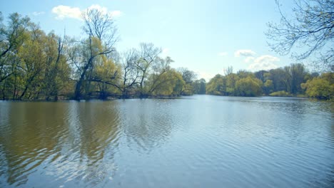 Still-Water-With-Reflection-At-The-Nature-Park-In-March-Thaya-Auen,-Weinviertel,-Lower-Austria