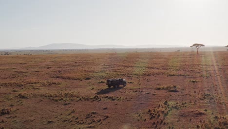 Aerial-drone-shot-of-Wildlife-Photographer-Driving-Safari-Vehicle-in-Maasai-Mara-National-Reserve-Savanna,-Kenya,-Africa-with-Beautiful-Landscape-Scenery-and-Acacia-Trees