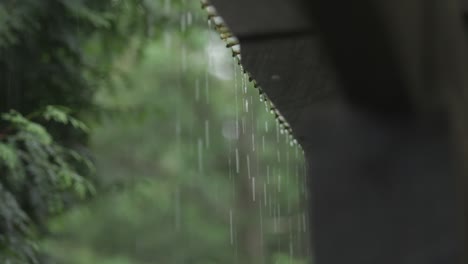 Rain-Dripping-off-of-Roof---Lake-House-Inn,-Perkasie,-PA