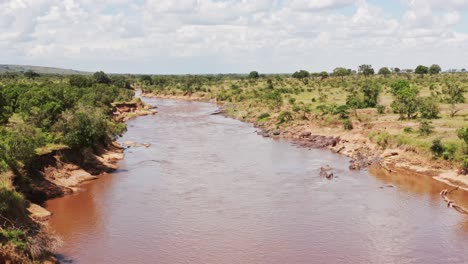 Toma-Aérea-De-La-Vida-Silvestre-Africana-De-Un-Grupo-De-Hipopótamos-En-Las-Orillas-Del-Río-Masai-Mara,-Vista-De-Drones-Del-Hermoso-Paisaje-Verde-Y-Exuberante-De-África-En-La-Reserva-Nacional-De-Masai-Mara,-Kenia,-áfrica