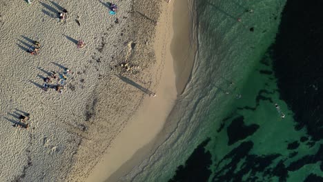 Aerial-top-down-shot-of-people-and-tourist-resting-at-sandy-beach-in-front-of-ocean-in-Australia