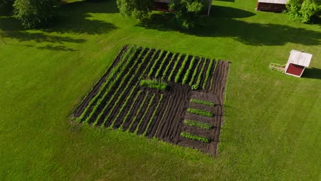 aerial-drone-shot-of-a-well-manicured-garden-in-the-middle-of-a-yard