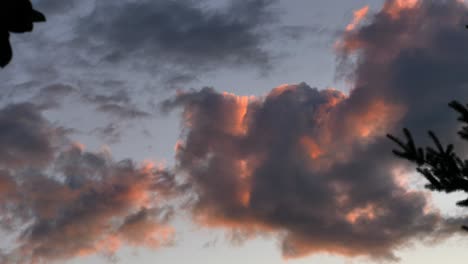 Sonnenuntergangswolken-Am-Horizont-über-Dem-Wald