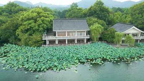 Aerial-shot-of-Lake-Xi-Hu-with-lotuses-and-pavilions-on-the-shore-surrounded-by-beautiful-nature
