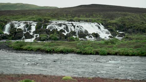 Group-Of-Barnacle-Geese-Swept-Away-By-The-Current-In-The-River-With-Waterfalls