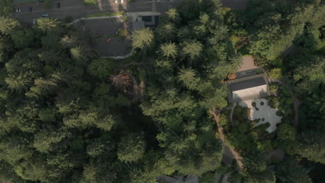 Top-down-aerial-shot-over-Portland-Japanese-Garden
