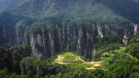Zhangjiajie-Berühmte-Ländliche-Felder-Bald-Oben-Auf-Steinsäulen
