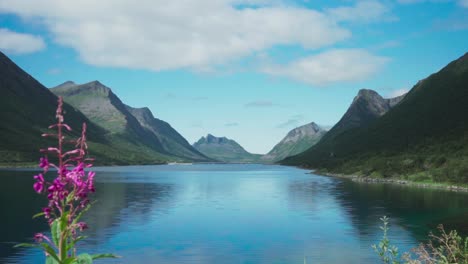Panorama-Del-Fiordo-Y-La-Cordillera-Durante-El-Día-En-Gryllefjord,-Senja,-Noruega