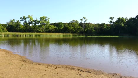 Static-video-of-a-swimming-area-on-Cedar-Lake-in-Cleburne-State-Park-in-Texas