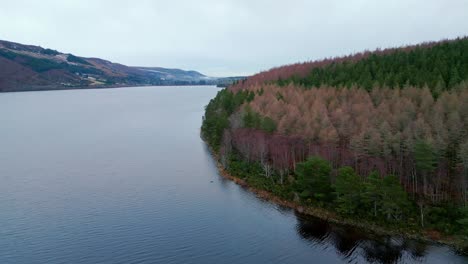 Aerial-view-of-forest-on-bank-of-large-lake