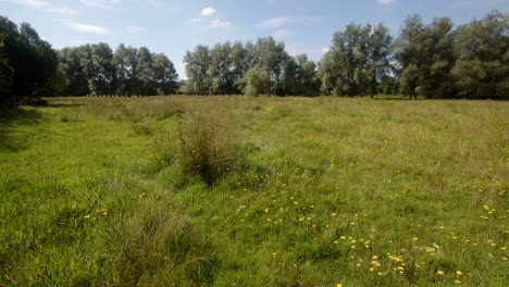 Extra-Wide-shot-of-a-Riverside-meadow-at-Lyny-by-the-river-Wensum