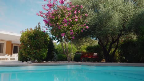 Low-orbiting-shot-of-a-private-pool-surrounded-by-trees-and-plants-in-full-bloom