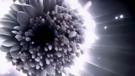 black-and-white-subatomic-explosion