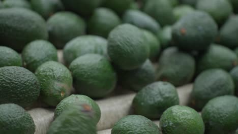 CLOSE-UP-OF-AVOCADOS-ROLLING-AT-A-PACKINGHOUSE-IN-MICHOACAN-MEXICO