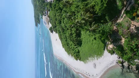Vertical-drone-shot-along-tropical-coastline-with-palm-trees-and-golden-beach-beside-clear-Caribbean-sea---blue-sky-and-sunny-day-in-Dominican-Republic