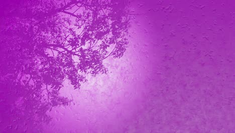 -Nature-Plant,-tree-leaves-in-gentle-breeze,-3D-purple-background-for-product-or-logo