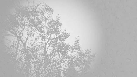 relaxing-meditative-Nature-Plant,-tree-leaves-in-motion-3D-grey-background-for-product-or-logo