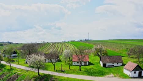 Kellergasse-Weinkellergassen-Zwischen-Den-Weinbergen-Im-Weinviertel,-Österreich