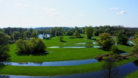 Flying-Over-The-Wetland-With-Trees-And-Green-Grass-In-Daytime-In-Austria