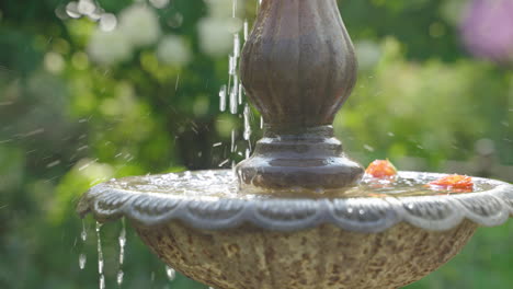 Slow-Motion-Fountain-in-Focus-Behind-Out-of-Focus-Blooming-Flowers-in-Garden