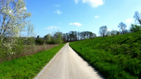 Dirt-Road-To-The-Forest-On-A-Sunny-Summer-Day