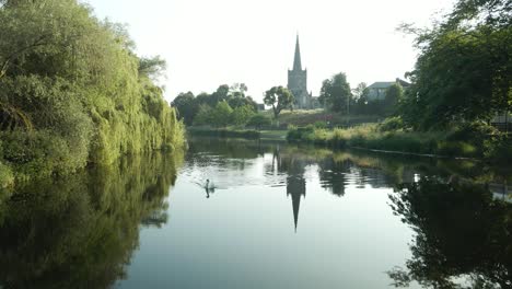 Swan-Over-River-Suir-With-Saint-Paul-Church-Tower-At-The-Background-During-Sunrise-In-Cahir,-Ireland
