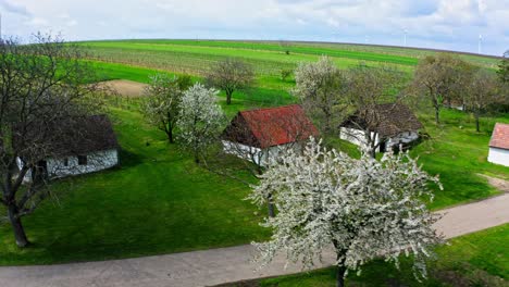 Aerial-View-Of-Wine-Cellar-Structures-With-Cherry-Blossom-Trees-In-The-Weinviertel,-Austria