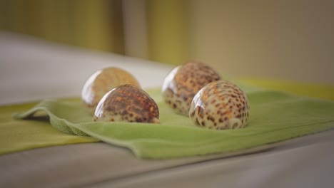 Cowrie-shells-on-green-towel-on-massage-bed,-close-up