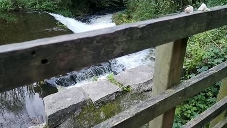 Slow-motion-rising-above-wooden-fence-overlooking-fresh-cascading-stream-flowing-down-rocky-stonework