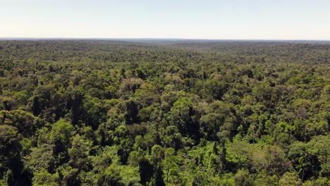 Magnificent-aerial-view-of-pristine-native-jungle-in-Misiones,-Argentina