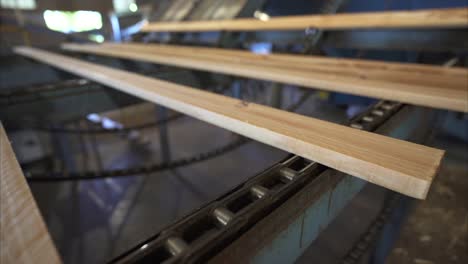 Freshly-cut-wooden-boards-at-a-manufacturing-plant
