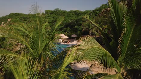 Revealing-Huatulco-hotel-resort-through-green-tall-palm-trees-in-tropical-Mexico