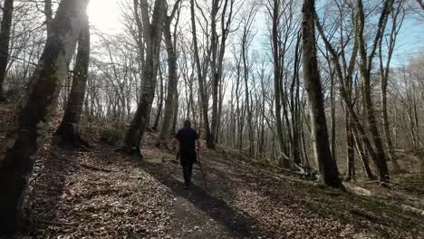 Walking-on-a-beech-forest-covered-with-dead-leaves-in-cold-season