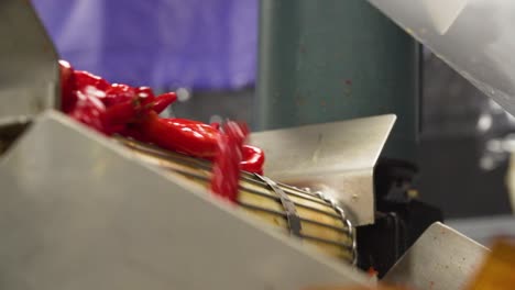 Close-up-of-red-chilli-pepper-Cayenne-on-conveyor-of-automatic-mesh-belt-machine-in-factory-of-USA