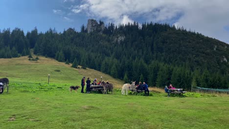 As-tourists-engage-in-activities-with-donkeys-and-immerse-themselves-in-their-day-to-day-tasks,-they-can-witness-the-captivating-allure-of-Romania's-Brasov-landscape
