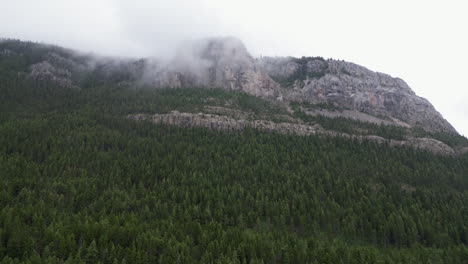 Evergreen-Trees-from-Above-Pans-Up-to-Misty-Mountains-on-Overcast-Day