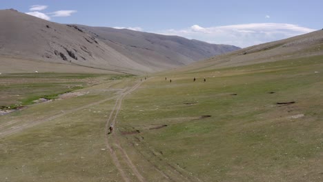Mongolian-horseriding,-high-wide-drone-overview,-mongolia-horses-highland-valley-aerial-shot