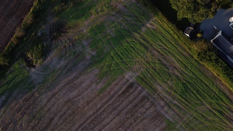 Tractor-tyres-marks-in-farmers-field-in-Castle-Eden-village-in-County-Durham---Top-Down-Aerial-Drone-4k-HD-Shot