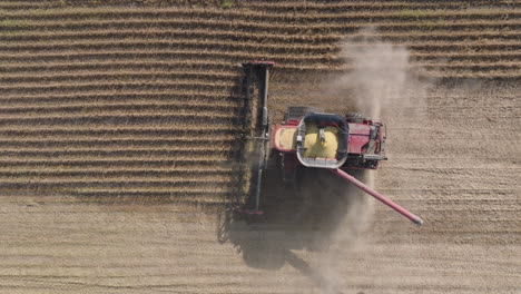 Top-Down-View-of-Combine-Harvester-with-Extended-Chute-Harvesting-Dry-Soybeans