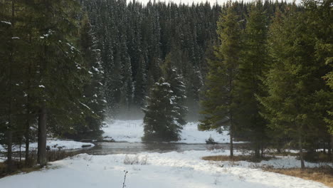 A-calm-mountain-river-flows-through-fir-forests-in-the-winter-season,-with-a-touch-of-fog-and-sunlight