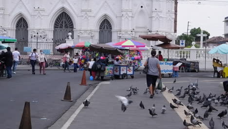 Pigeons-flock-on-street-as-camera-pans-across-street-food-kiosks,-SLV