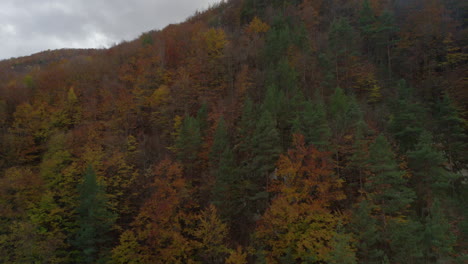 Mountain-with-deciduous-forests-and-fir-trees-in-the-beautiful-colors-of-the-autumn-season,-captured-from-an-ascending-drone-under-a-cloudy-sky
