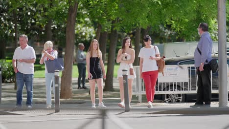 Slow-motion-scene-where-mixed-people-stops-at-a-pedestrian-crossing