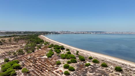 Drohnenschuss-Fliegt-über-Flaches-Land-Und-Einen-Kleinen-Strand-In-Portugal