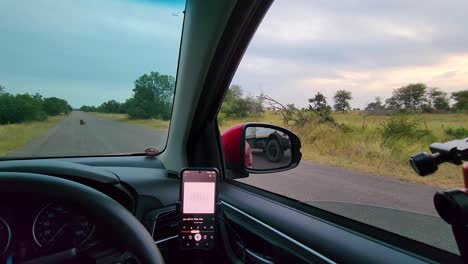 Vista-Del-Conductor-Dentro-Del-Vehículo-Estacionado-En-El-Parque-Nacional-Kruger-En-Sudáfrica